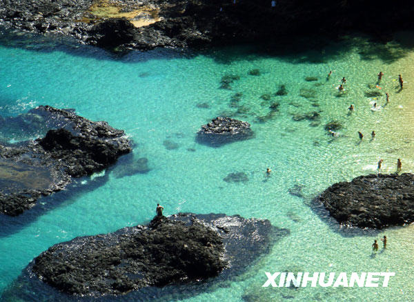 费尔南多—迪诺罗尼亚岛不朽情缘试玩版美丽